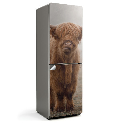 Samolepiaca nálepka na chladničku Mladý dobytok v mystickej hmle