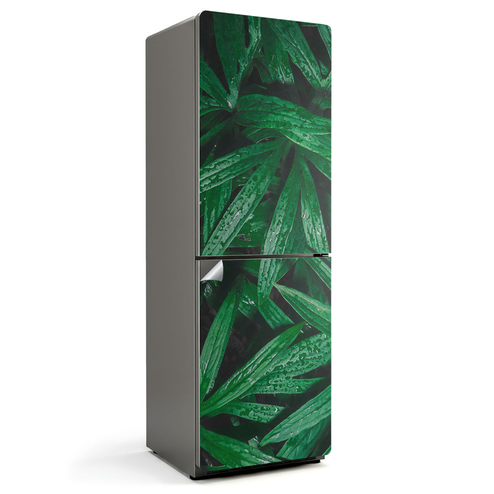 Nálepka na chladničku Listy s kvapkami vody