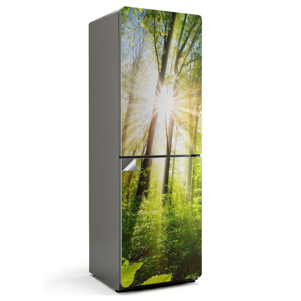 Samolepiaca nálepka na chladničku Prenikajúce lúče slnka