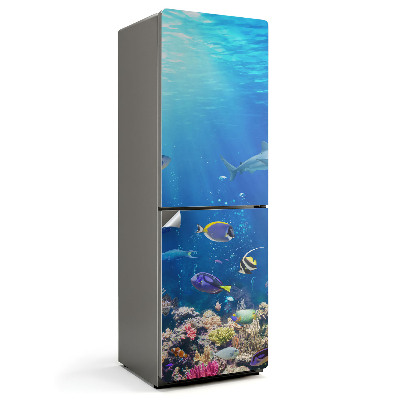 Fototapeta na chladničku Podmorský svet rýb