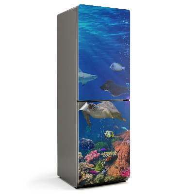 Nálepka na chladničku Podmorský svet plný života
