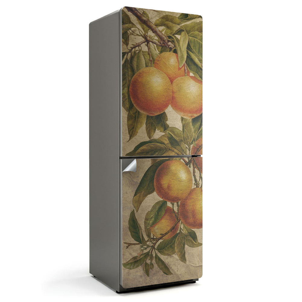 Nálepka na chladničku Vetva s citrusovými plodmi