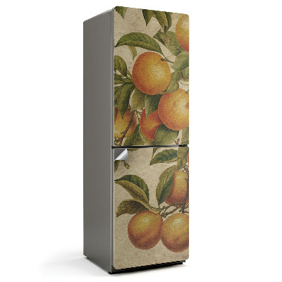 Fototapeta na chladničku Ovocie na konári