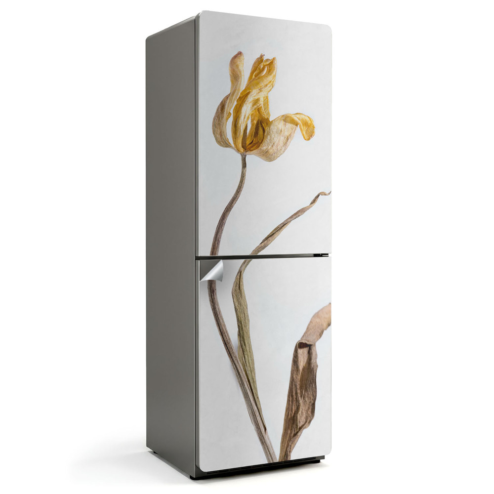Nálepka na chladničku Sušený kvet tulipánu