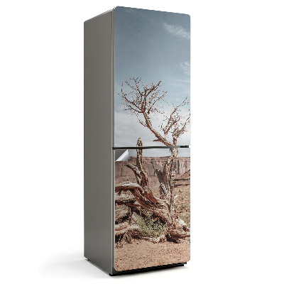 Samolepiaca nálepka na chladničku Skrútený kmeň stromu