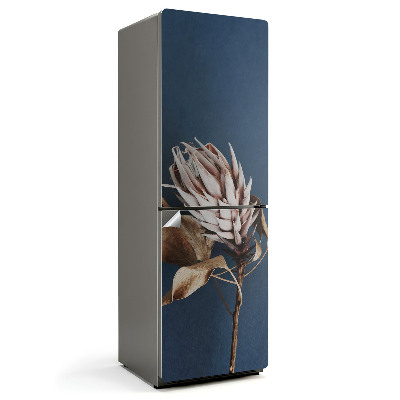 Samolepiaca nálepka na chladničku Detailný záber na sušenú rastlinu