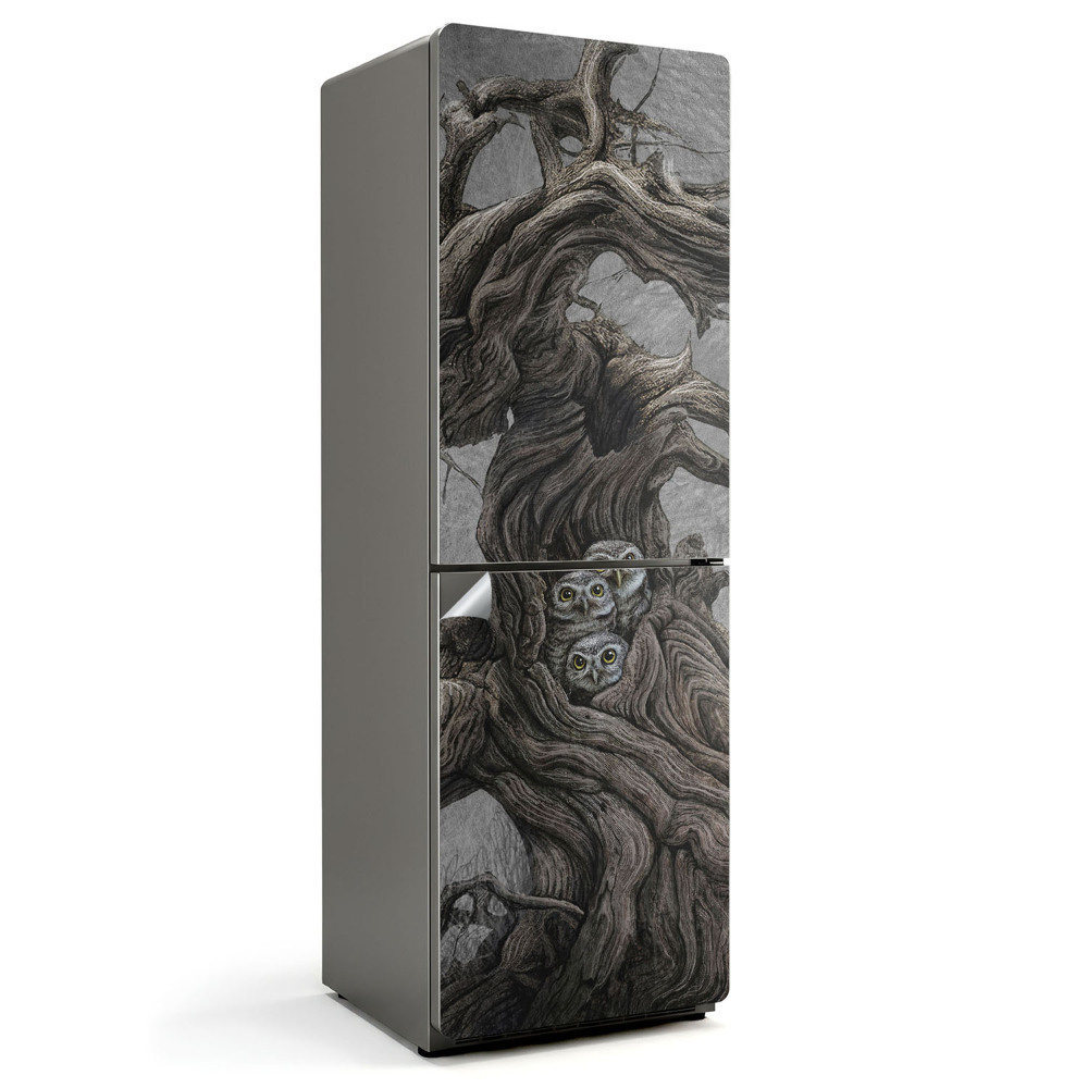 Fototapeta na chladničku Sovy v stromovej diere