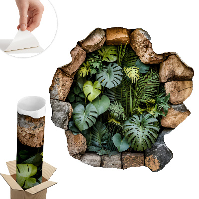 Fototapeta diera v stene 100x100 Tropická oáza