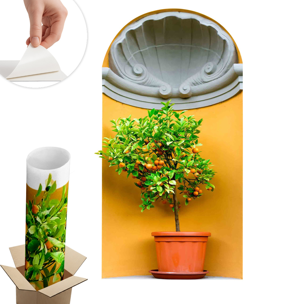 3d samolepka na stenu 55x100 Pomarančovník