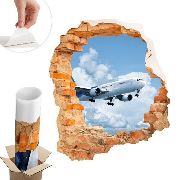 Fototapeta diera v stene 111x130 Letecký objav