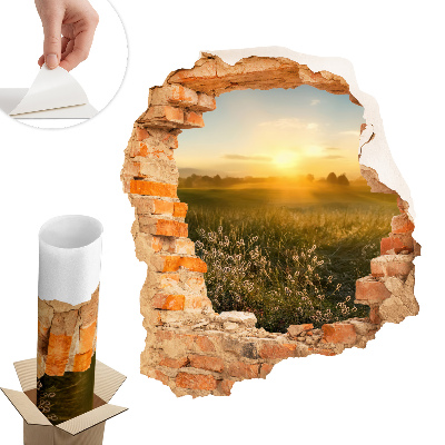 Fototapeta diera v stene 111x130 Slnečná lúka