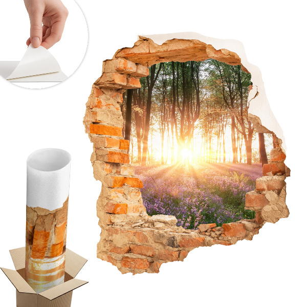 Fototapeta diera v stene 111x130 Prielom v lese