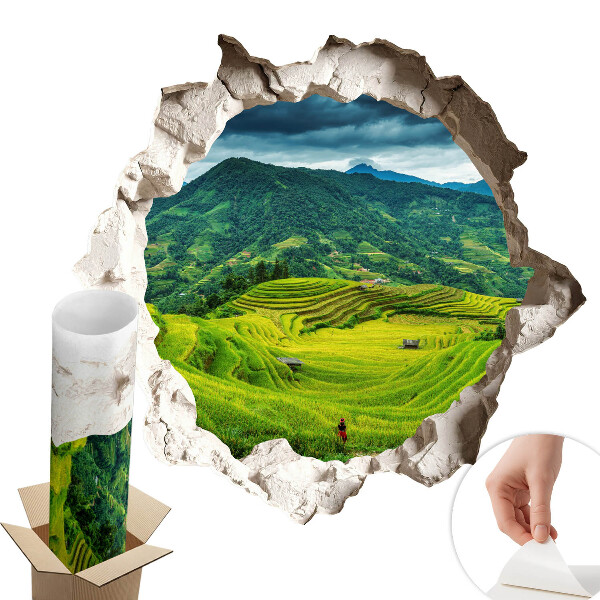 Fototapeta diera v stene 130x123 Zelené terasy