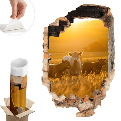 Nálepka na stenu diera 3D 40x60 Vidiecka krajina