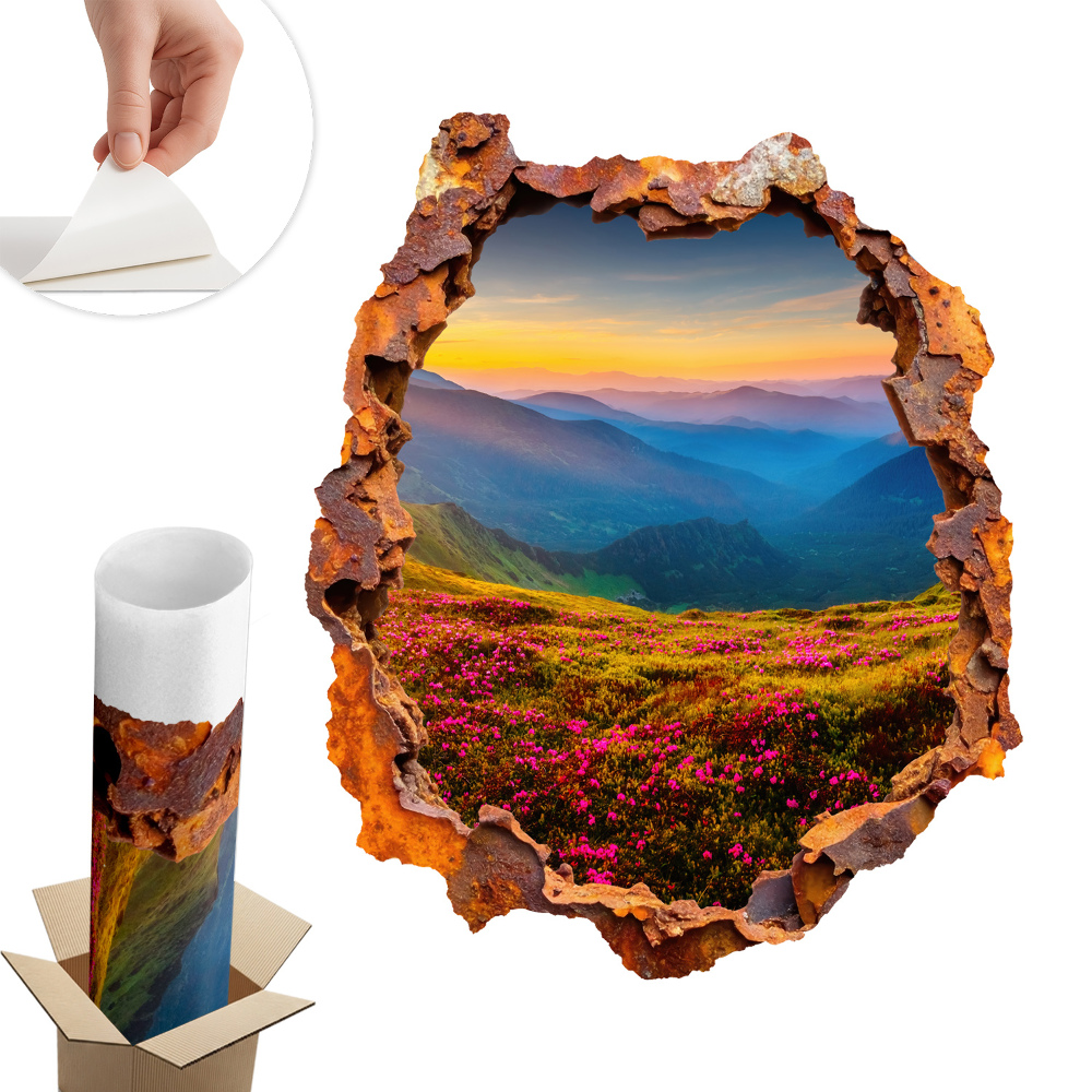 Nálepka na stenu diera 3D 50x60 Kvetinové hory