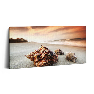 Obraz na plátne 100x50 Mušle na piesočnej pláži pri západe.