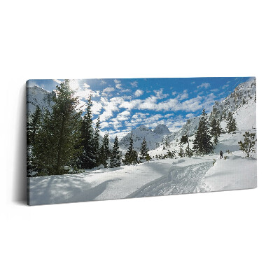 Fotoobraz na plátne 100x50 Zasnežená horská krajina s borovicami.