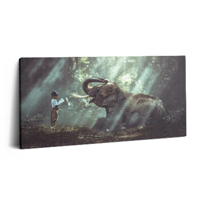 Obraz na plátne 100x50 Chlapec a slon v lese.