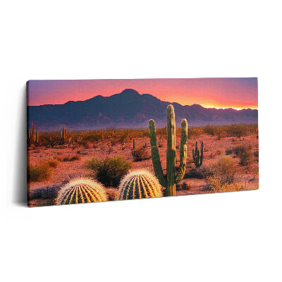 Fotoobraz na plátne 100x50 Kaktusy v púštnom západe slnka.