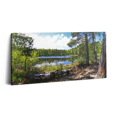 Fotoobraz na plátne 120x60 Lesné jazero za slnečného dňa