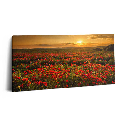 Fotoobraz na plátne 120x60 Červené maky pri západe slnka