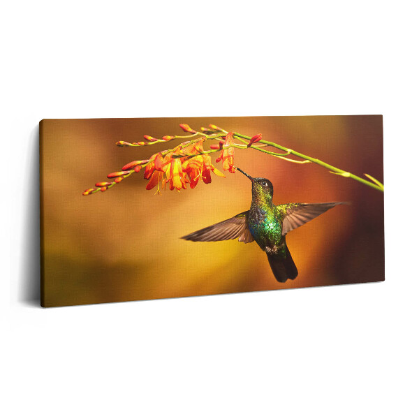 Obraz na plátne 120x60 Kolibrík pri kvetoch v západe slnka
