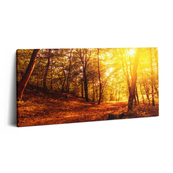 Obraz na plátne 120x60 Zlatá jesenná lesná cesta
