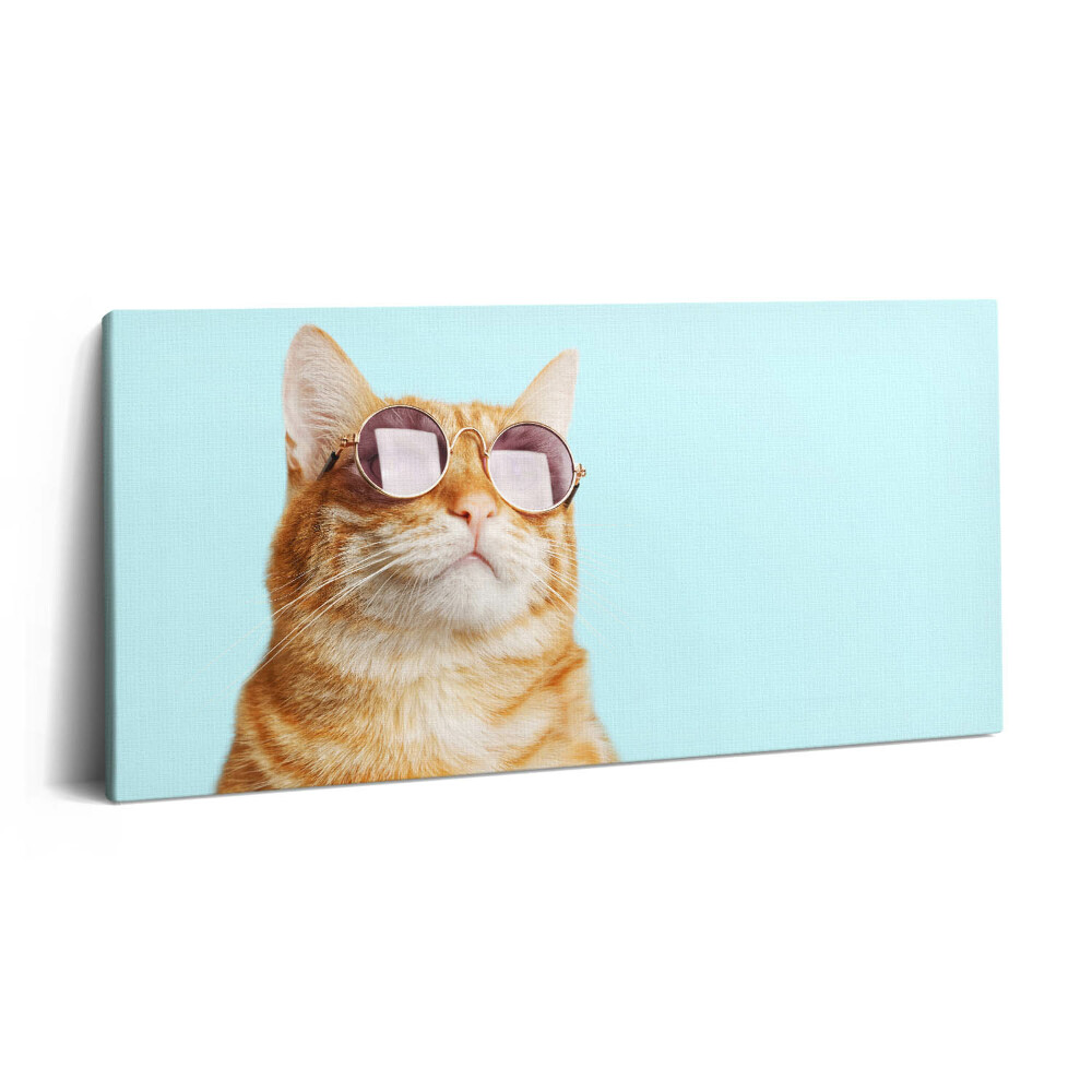 Obraz na plátne 120x60 Kocúr v okuliaroch na modrom pozadí