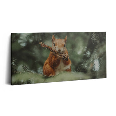 Obraz na plátne 120x60 Veverička s šiškou na strome