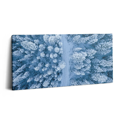 Obraz na plátne 120x60 Zimný les z vtáčej perspektívy