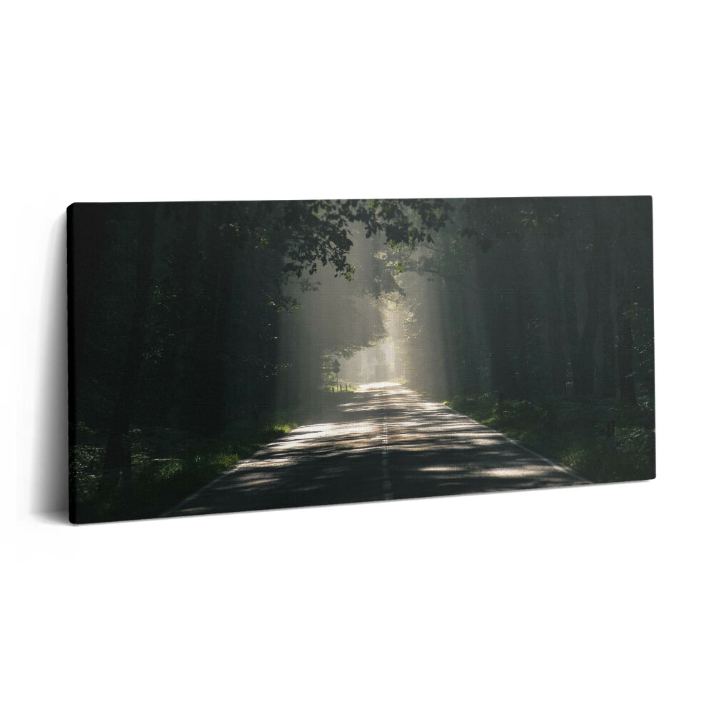 Obraz na plátne 120x60 Cesta v rannom svetle lesa