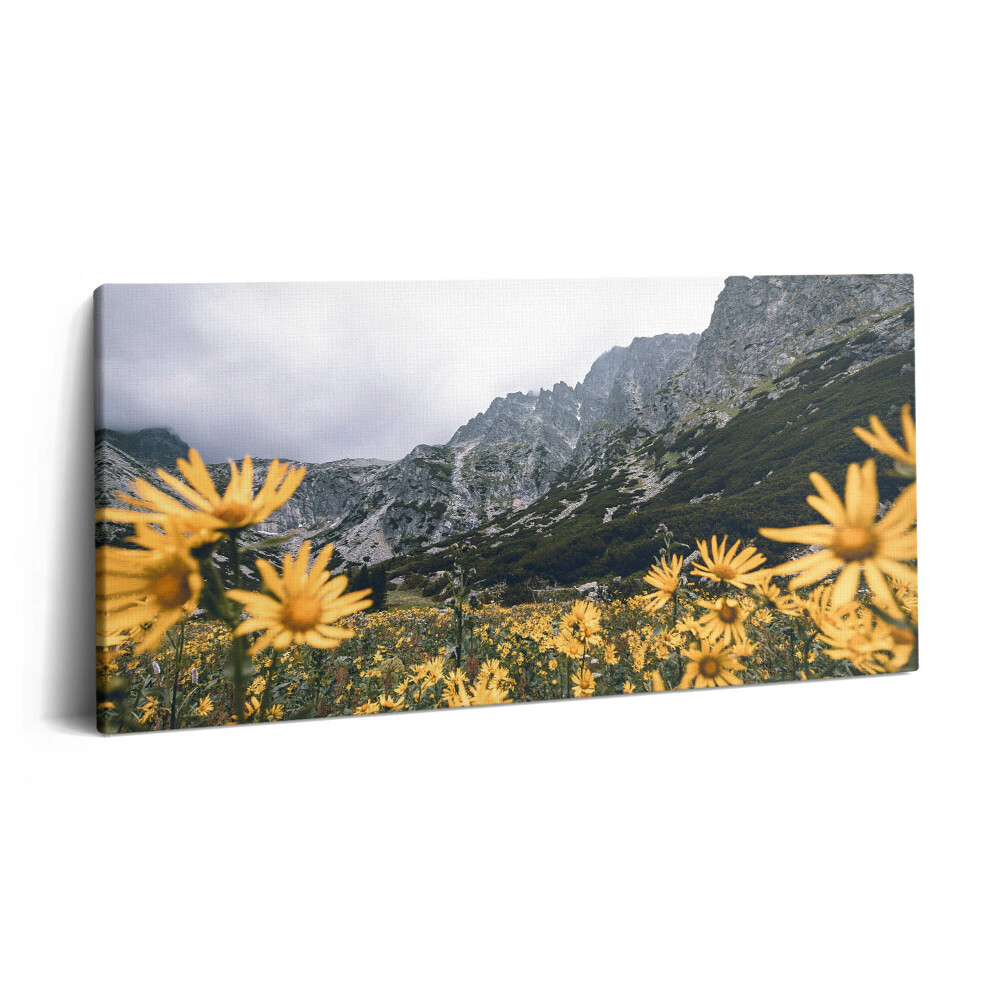 Fotoobraz na plátne 120x60 Horské kvety pod oblačnou oblohou