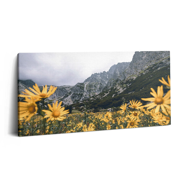 Fotoobraz na plátne 120x60 Horské kvety pod oblačnou oblohou