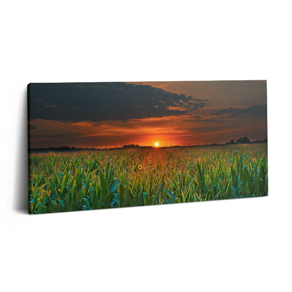 Fotoobraz na plátne 120x60 Slnečnice v západe slnka