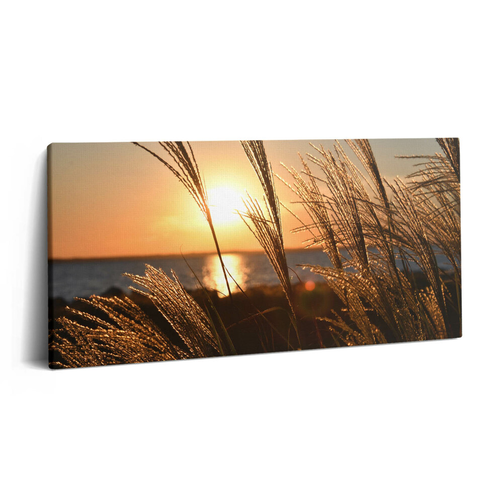 Obraz na plátne 120x60 Trávy v lúčoch zapadajúceho slnka