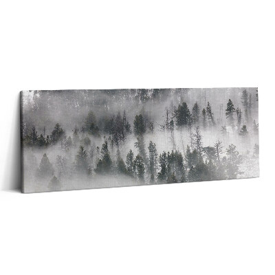 Fotoobraz na plátne 125x50 Hmlistý lesný sen
