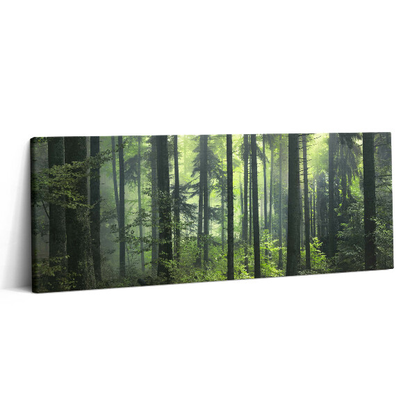 Fotoobraz na plátne 125x50 Hmlistý lesný sen