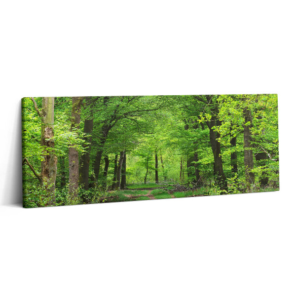 Fotoobraz na plátne 125x50 Zelený lesný chodník