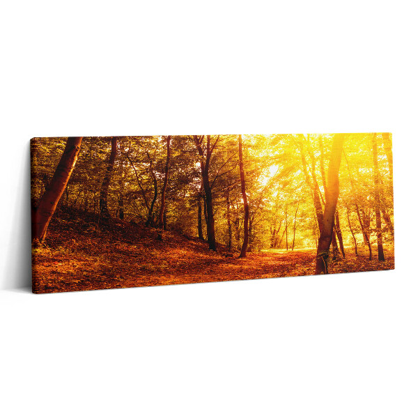 Fotoobraz na plátne 125x50 Zlatý lesný chodník pri západe slnka