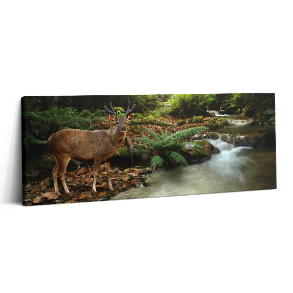 Fotoobraz na plátne 125x50 Jeleň pri lesnom potoku
