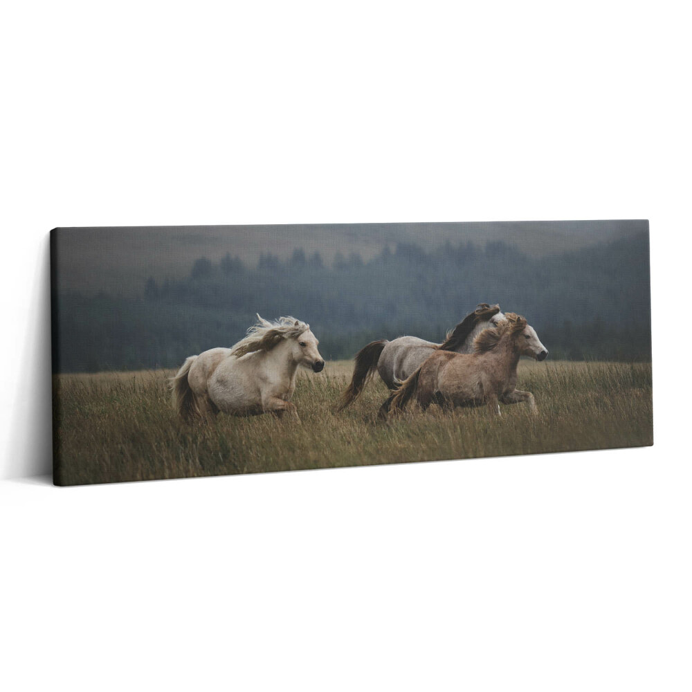Fotoobraz na plátne 125x50 Kone bežiace cez lúku