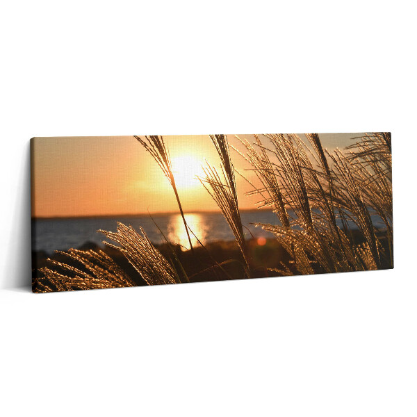 Fotoobraz na plátne 125x50 Západ slnka nad trstinovým poľom