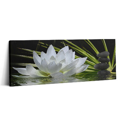 Fotoobraz na plátne 125x50 Biela lekna a kamene v harmónii