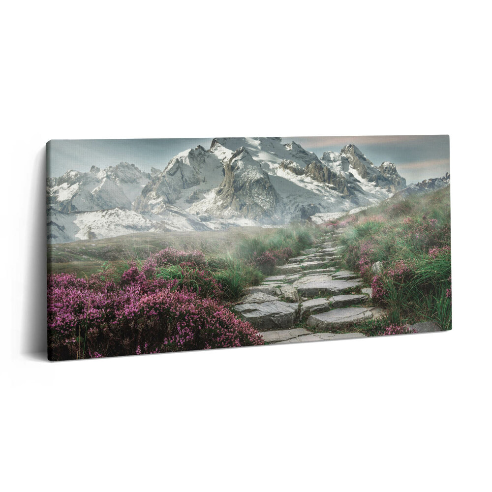 Fotoobraz na plátne 140x70 Horská cesta medzi kvetmi