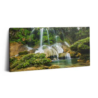 Fotoobraz na plátne 140x70 Pokľ v tichosti lesného vodopisu