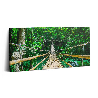 Obraz na plátne 140x70 Zelený most v džungli