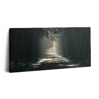 Obraz na plátne 140x70 Cesta v rannom svetle lesa