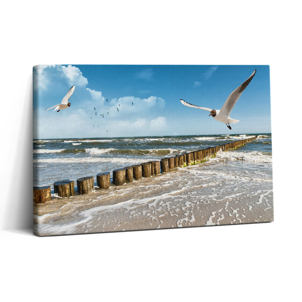Fotoobraz na plátne 30x20 Morské pobrežie s letiacimi čajkami
