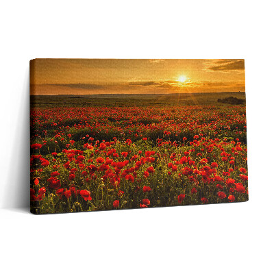Obraz na plátne 30x20 Maky pri západe slnka