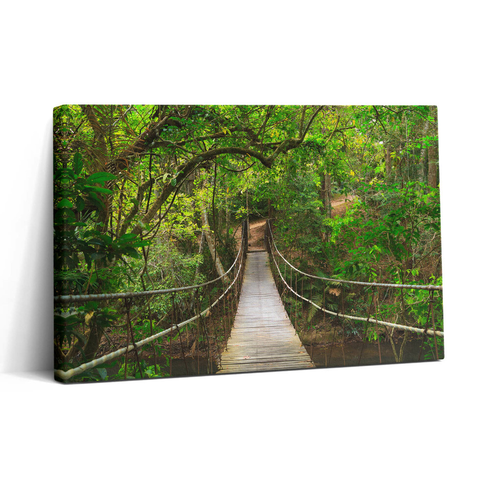 Obraz na plátne 30x20 Závesný most v džungli